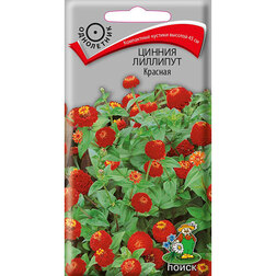 ����  ������ �������� �������, ������ �� 26 ���