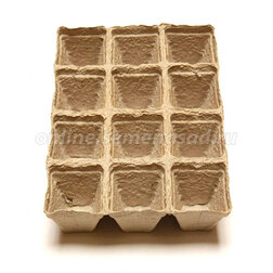 ����  ������ �������� (12 �����) 50�50, ������ �� 34 ���