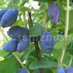 ����  ������� ��������� ��������� ��������, ������ �� 349 ���