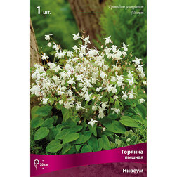 ����  ������� ������ ������, ������ �� 654 ���