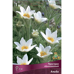 ����  �������� ������������ ����, ������ �� 357 ���