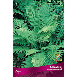 ����  ��������� ������������, ������ �� 489 ���