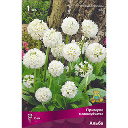 ����  ������� ������������� �����, ������ �� 319 ���