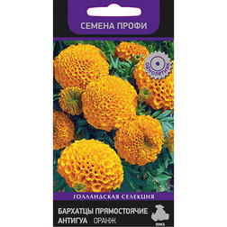 ����  �������� ������������ ������� ����� (������ �����), ������ �� 253 ���