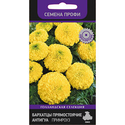 ����  �������� ������������ ������� �������� (������ �����), ������ �� 253 ���