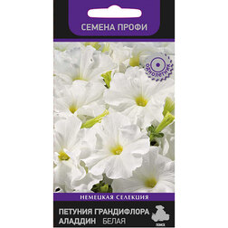 ����  ������� ����������� ������ ����� (������ �����), ������ �� 82 ���