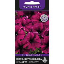 ����  ������� ����������� ������� �������� (������ �����), ������ �� 82 ���