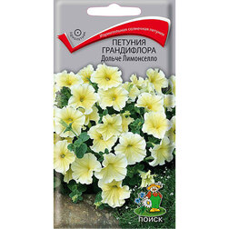 ����  ������� ����������� ������ ����������, ������ �� 75 ���