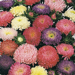 ����  ����� ������� ���� (1 ��- 1000��) ���������������� ������, ������ �� 2560 ���