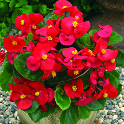 ����  ������� ������������� ������������� ���� ���� ������� (1��-1000�����)���������������� ������, ������ �� 1760 ���