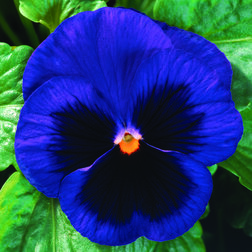 ����  ����� ��������������� �������� ��� ��� ��� ����� (1��-1000��), ������ �� 8160 ���