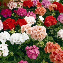 ����  ���������� ��������� ������� ���� (1��-100��) ���������������� ������, ������ �� 3200 ���