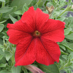 ����  ������� ����������� ����� ��� (1��-1000�����) ���������������� ������, ������ �� 2080 ���