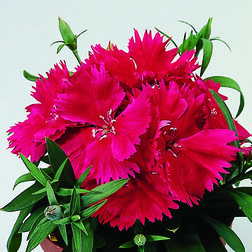 ����  �������� ����� ���� ������ (1��-100��) ���������������� ������, ������ �� 848 ���