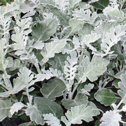 ����  ��������� ���������� (1��-10 000��) ���������������� ������, ������ �� 3520 ���