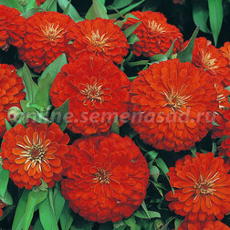 ����  ������ �������� ������� (1��-100��) ���������������� ������, ������ �� 2112 ���