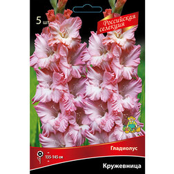 ����  ��������� ���������� (5 ��.), ������ �� 595 ���