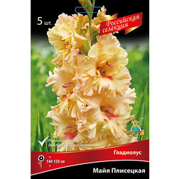 ����  �������� ���������� ���� ��������� (5 ��.), ������ �� 637 ���