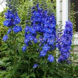 ����  ���������� ������� �������� ��� (1��-100��) ���������������� ������, ������ �� 2880 ���