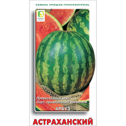 ����  ����� ������������, ������ �� 29 ���