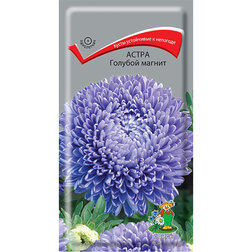 ����  ����� ������� ������, ������ �� 29 ���