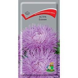 ����  ����� ������, ������ �� 29 ���