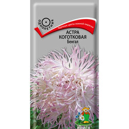 ����  ����� ���������� ������, ������ �� 26 ���