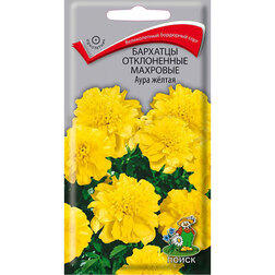 ����  �������� ����������� �������� ���� �����, ������ �� 36 ���