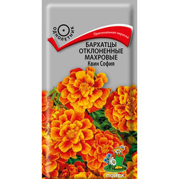 ����  �������� ����������� �������� ���� �����, ������ �� 30 ���