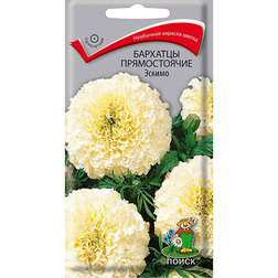 ����  �������� ������������ ������, ������ �� 34 ���