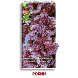 ����  ����� �����, ������ �� 29 ���