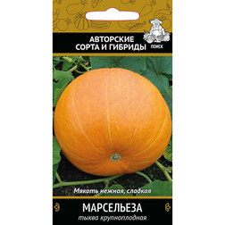 ����  ����� ������������� ����������, ������ �� 50 ���