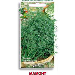 ����  ����� ������, ������ �� 29 ���