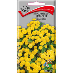 ����  ���������� ������� ������ ���, ������ �� 26 ���