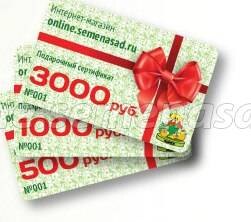 ����  ���������� ���������� (������� 1500 �.), ������ �� 1500 ���