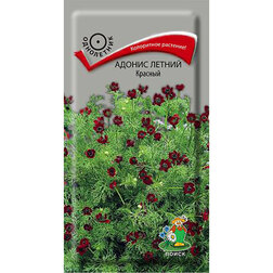 ����  ������ ������ �������, ������ �� 26 ���