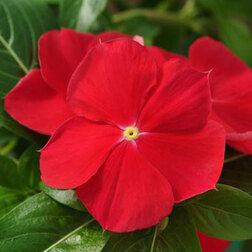 ����  ���������� ��������� ������������� ��� (1��-100 ��) ���������������� ������, ������ �� 672 ���