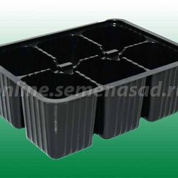 ����  ���� ������� �/�������-6�����, ������ �� 11 ���