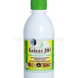 ����  ������ ��-1 (0,25�.), ������ �� 124 ���