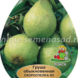 ����  ����� ����������� �� ���������� (� �����), ������ �� 684 ���