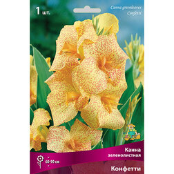 ����  ����� ������������� ��������, ������ �� 314 ���