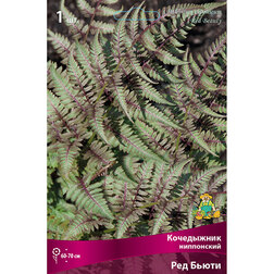 ����  ���������� �������� ��� �����, ������ �� 489 ���