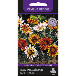 ����  ������� ������� ������ ���� (������ �����), ������ �� 141 ���