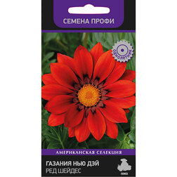 ����  ������� ��� ��� ��� ������ (������ �����), ������ �� 141 ���