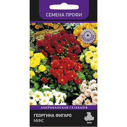 ����  �������� ������ ���� (������ �����), ������ �� 102 ���