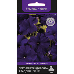 ����  ������� ����������� ������� �����, ������ �� 82 ���