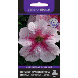 ����  ������� ����������� ����� ������� ����� (������ �����), ������ �� 110 ���