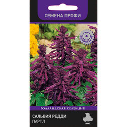 ����  ������� ����� ����� (������ �����), ������ �� 56 ���