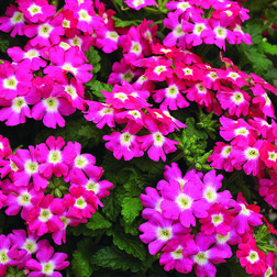 ����  ������� ������� ���� ��� �� (1��-1000��), ������ �� 6240 ���