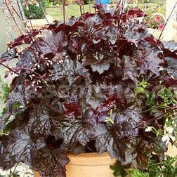 ����  ������� ����� ����� (1��-1000�����) ���������������� ������, ������ �� 1584 ���